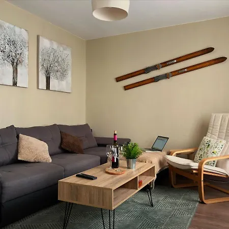 Apartamento Acogedor Y Familiar - Wifi+Chromecast Puigcerdà Extérieur photo